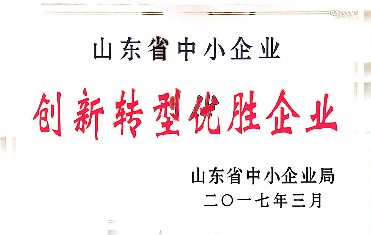 2017年公司入選山東省創新轉型優勝企業