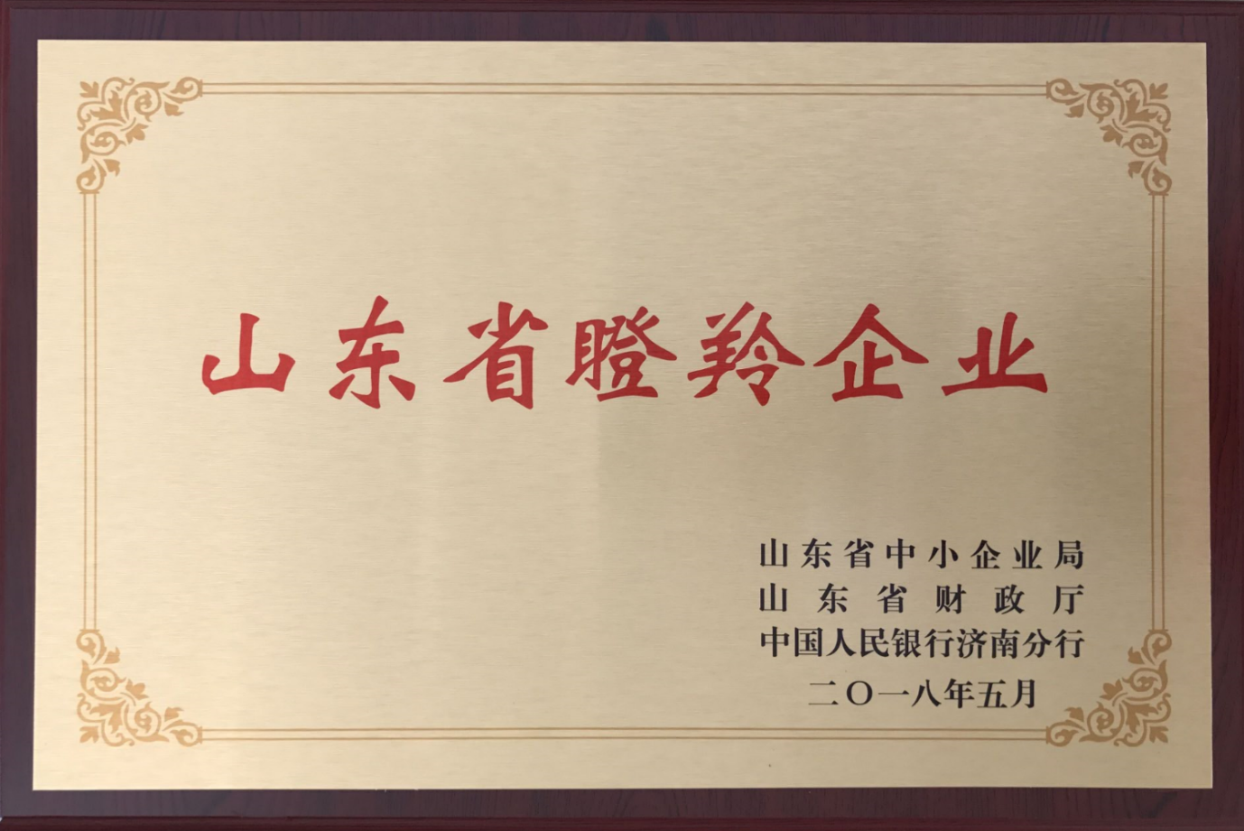 2018年公司入選山東省首批100家瞪羚示范企業
